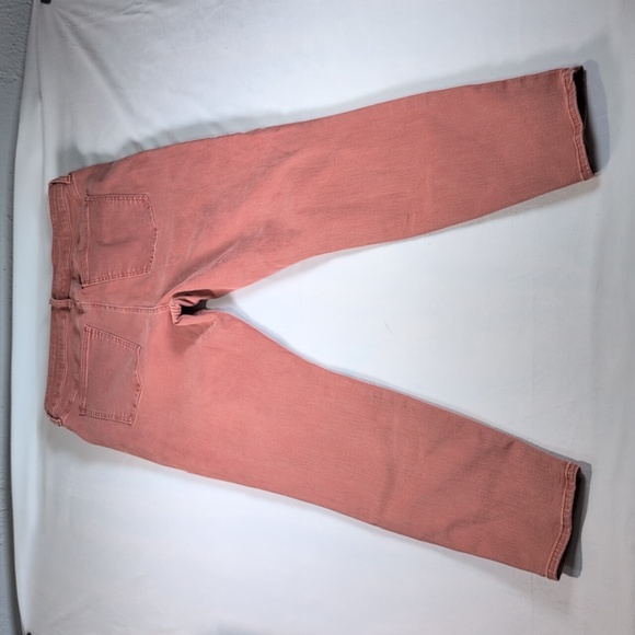 Pistola Arianna High Rise Skinny Jean in Dusty Clay Size 33 - Picture 8 of 9